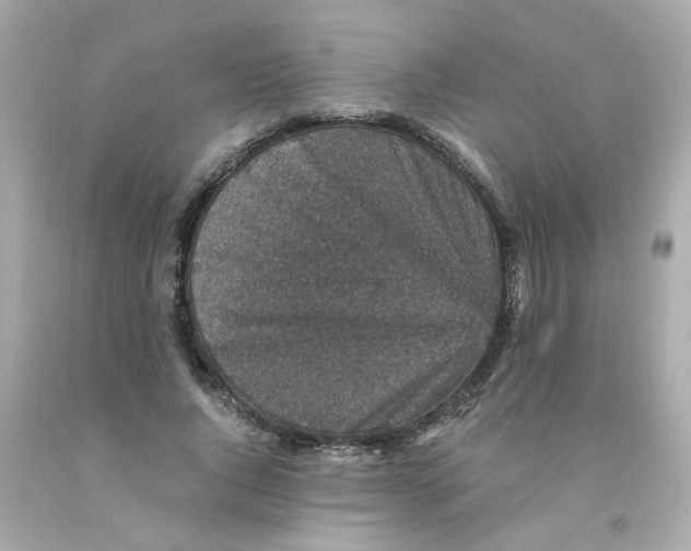 X0000093120736200710241302