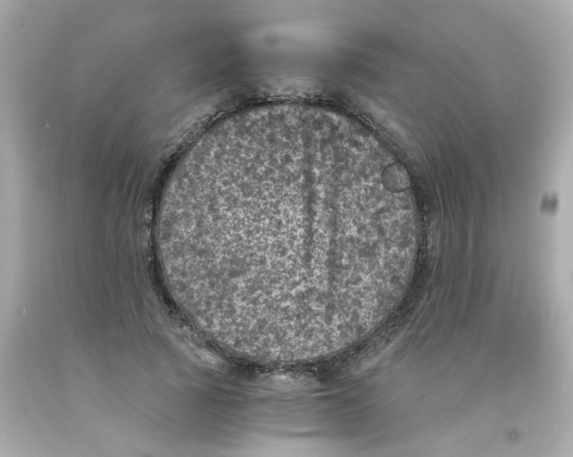 X0000093120737200710241302