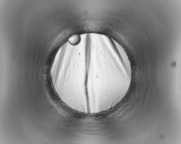 X0000093120738200710241302