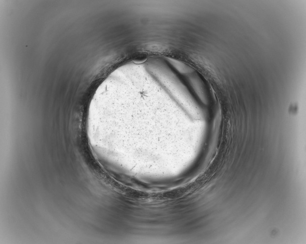 X0000093120739200710241302
