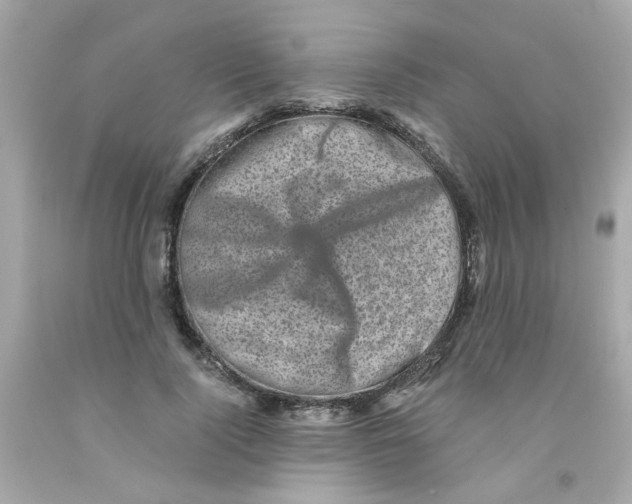 X0000093120740200710241302