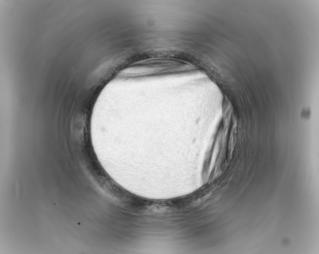 X0000093120742200710241302