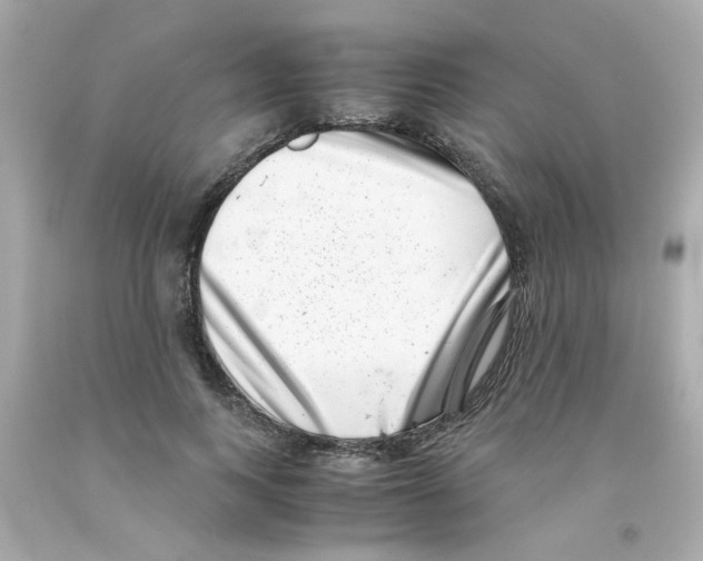 X0000093120743200710241302