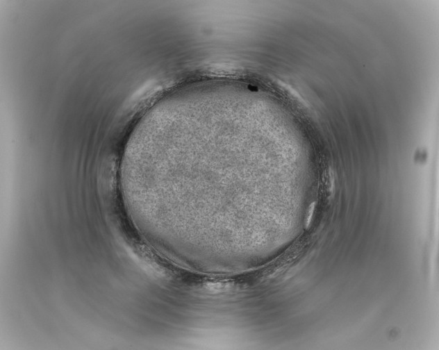 X0000093120744200710241302