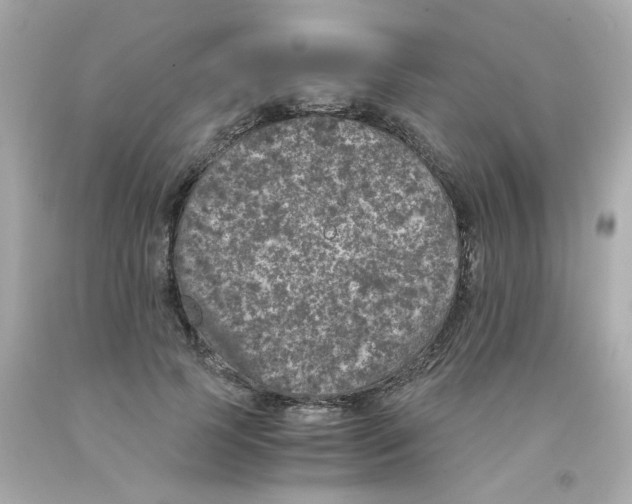 X0000093120745200710241302