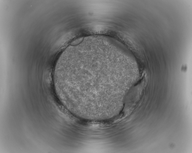 X0000093120746200710241302