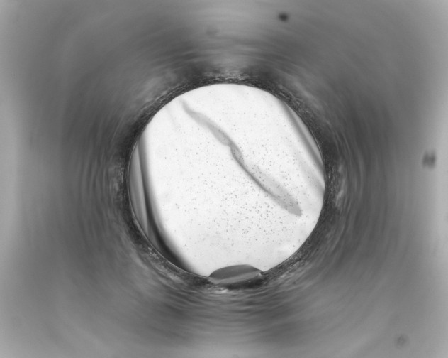 X0000093120747200710241302