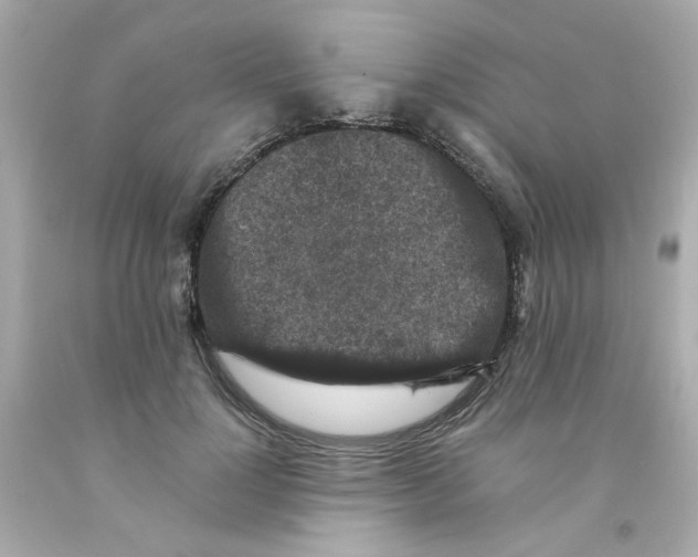 X0000093120748200710241302