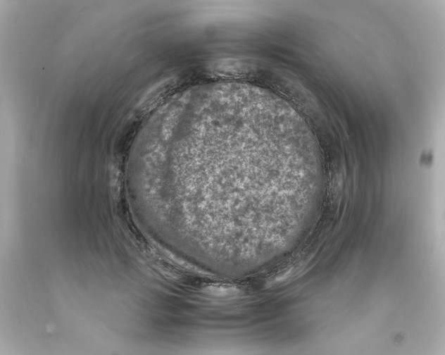 X0000093120749200710241302
