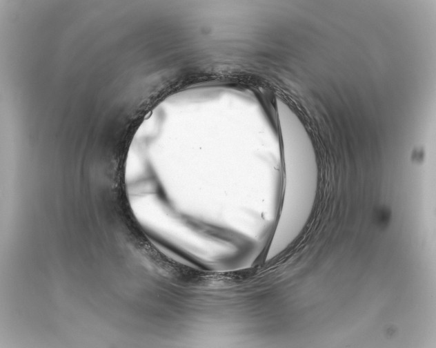 X0000093120750200710241302
