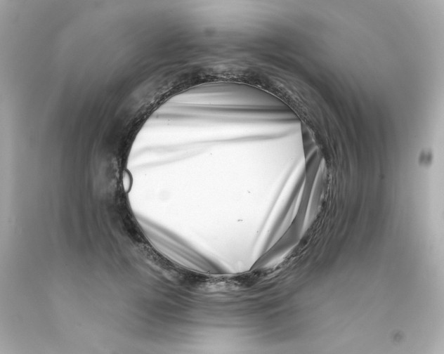X0000093120752200710241302