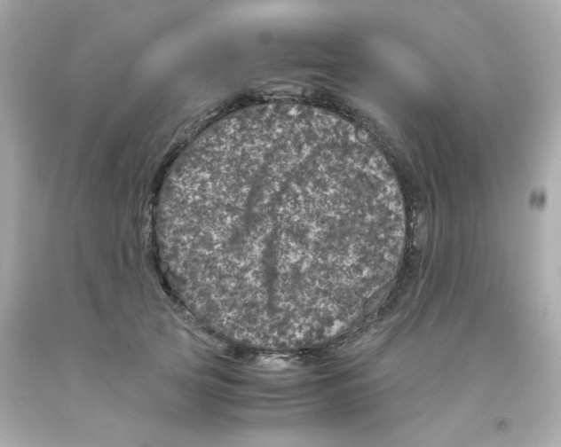 X0000093120753200710241302