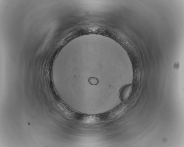 X0000093120754200710241302