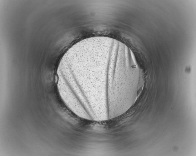 X0000093120756200710241302
