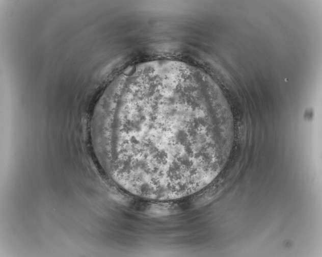 X0000093120757200710241302