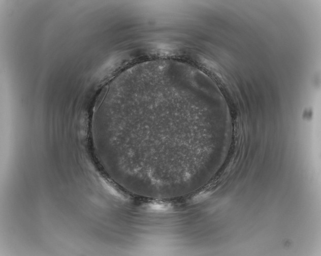 X0000093120760200710241302