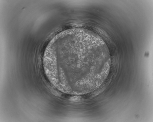 X0000093120761200710241302