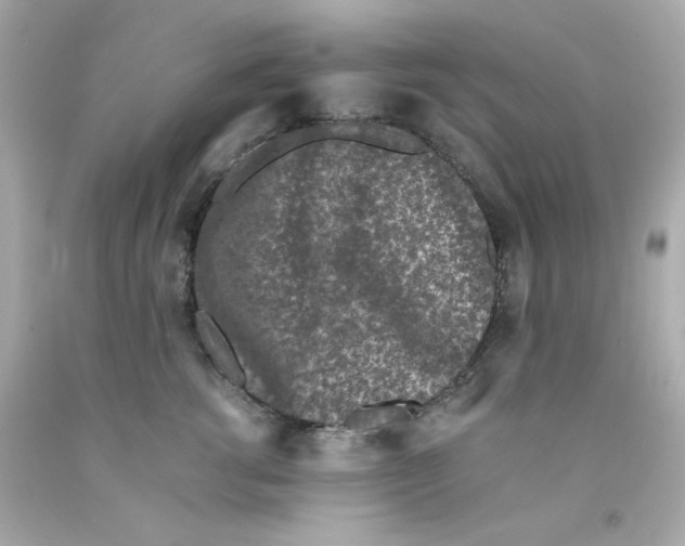 X0000093120762200710241302