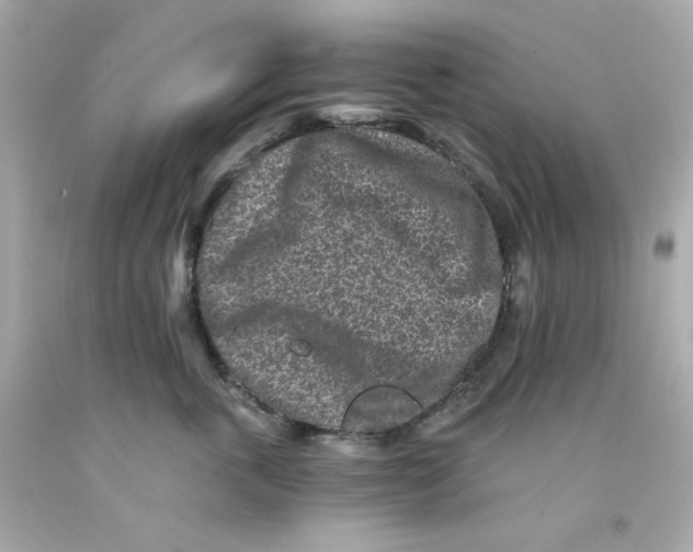 X0000093120763200710241302