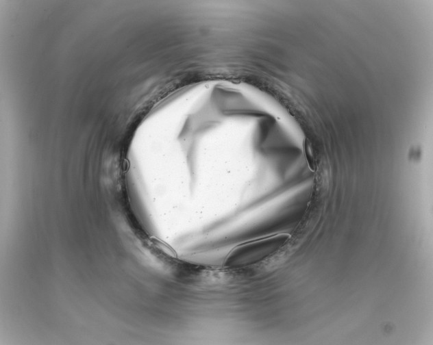 X0000093120764200710241302