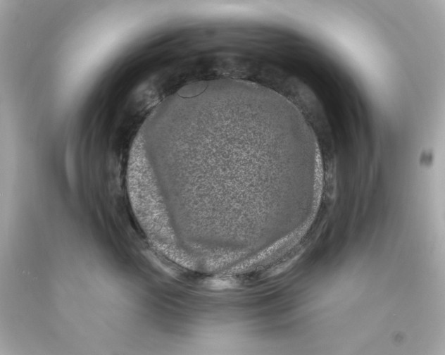 X0000093120765200710241302