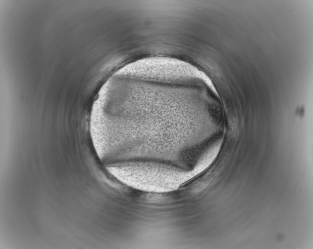 X0000093120766200710241302