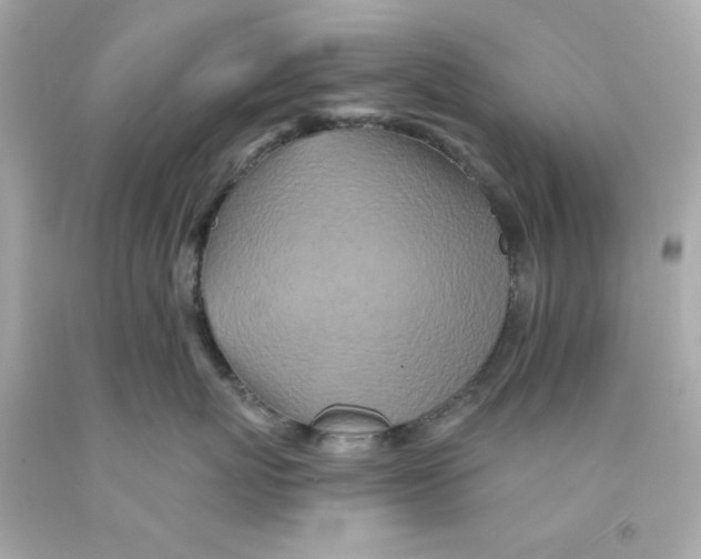 X0000093120767200710241302