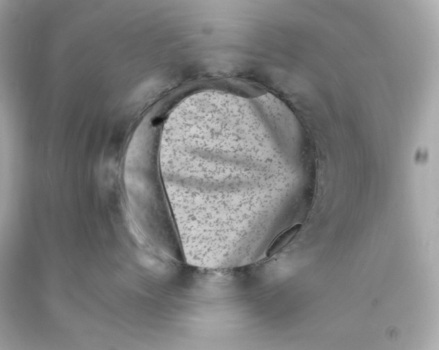 X0000093120768200710241302