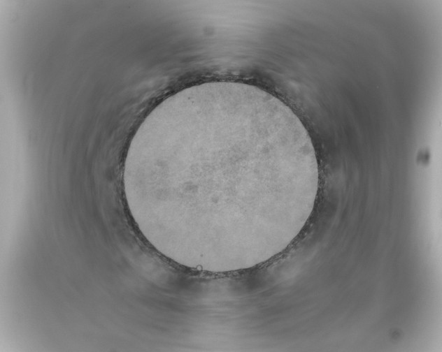 X0000093120769200710241302