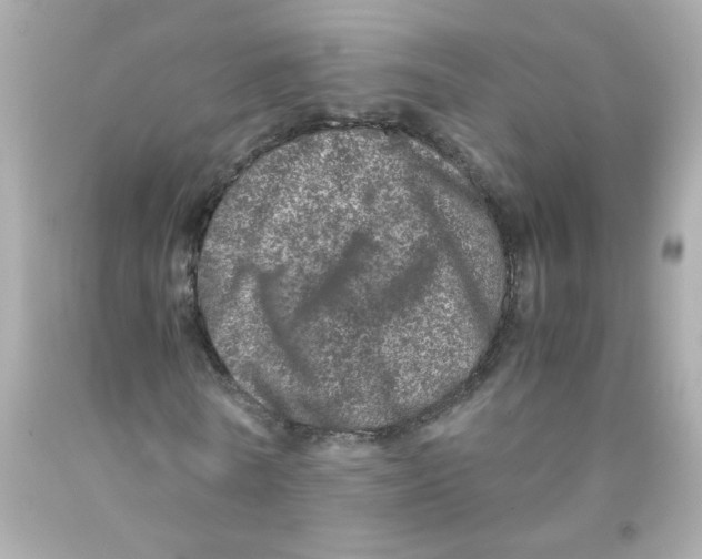 X0000093120770200710241302