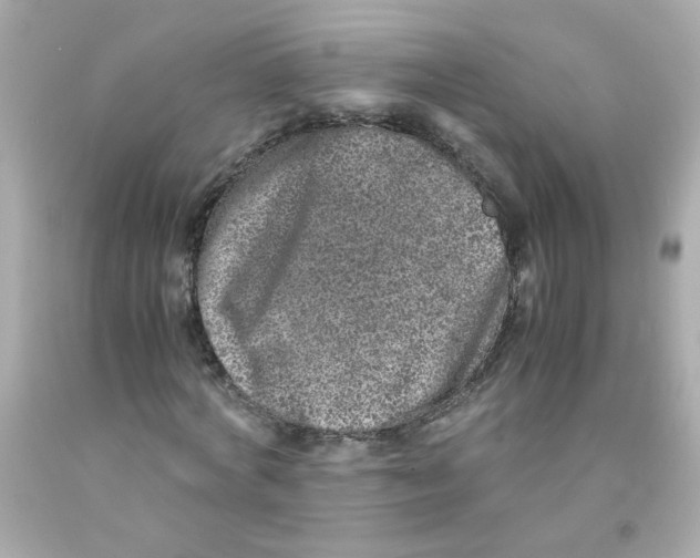 X0000093120772200710241302