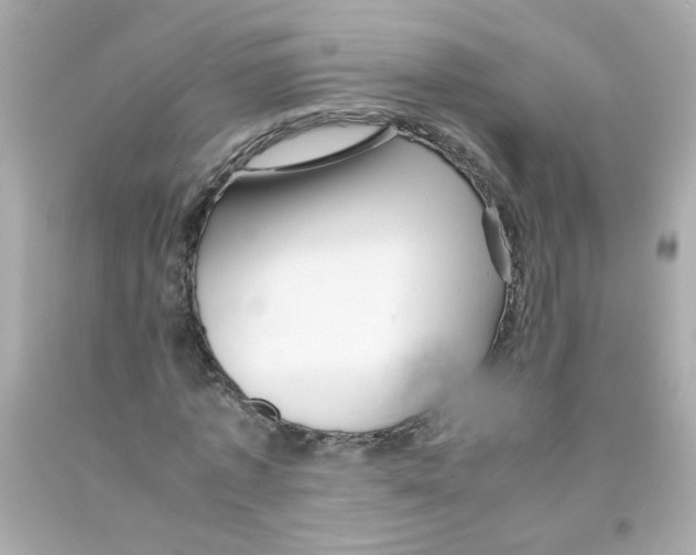 X0000093120773200710241302