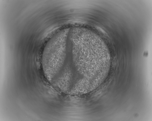 X0000093120774200710241302