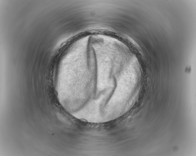 X0000093120775200710241301