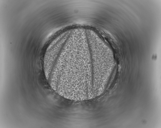 X0000093120776200710241301