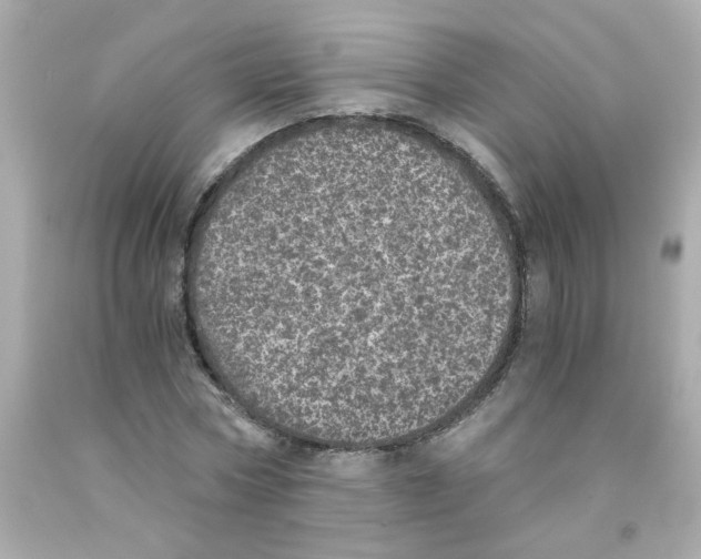 X0000093120778200710241301