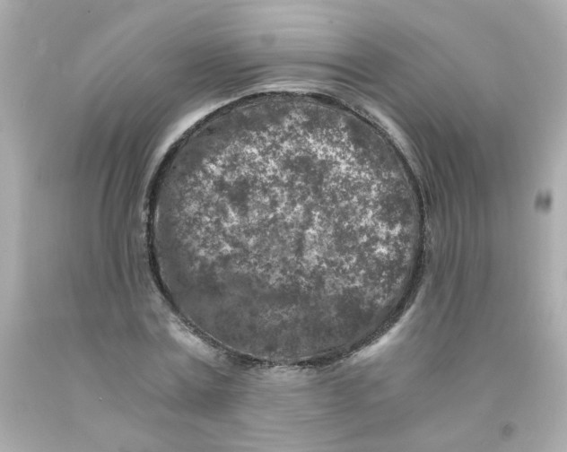 X0000093120779200710241301
