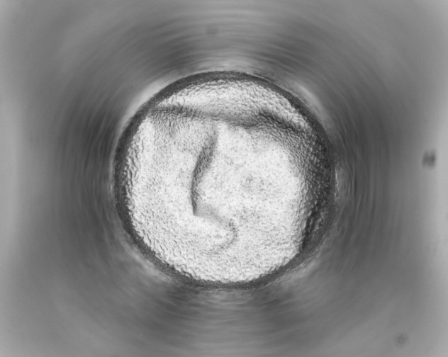 X0000093120780200710241301