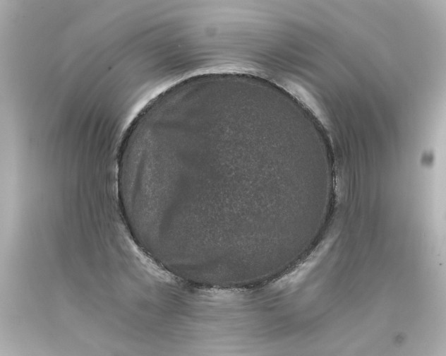 X0000093120781200710241301