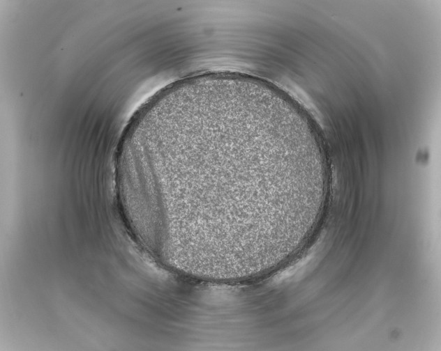 X0000093120782200710241301