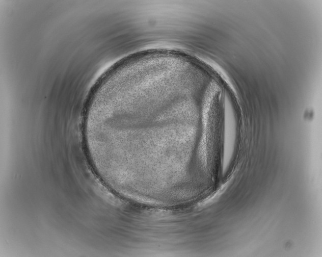 X0000093120783200710241301