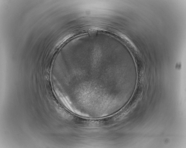 X0000093120785200710241301