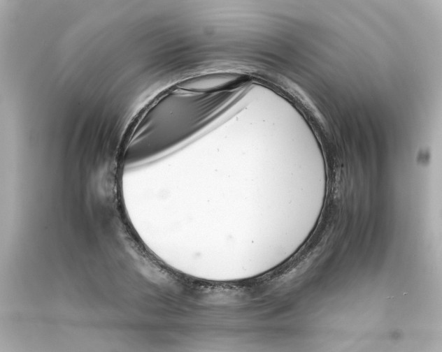 X0000093120786200710241301