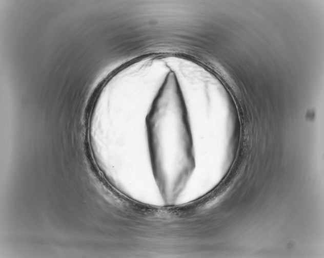 X0000093120787200710241301