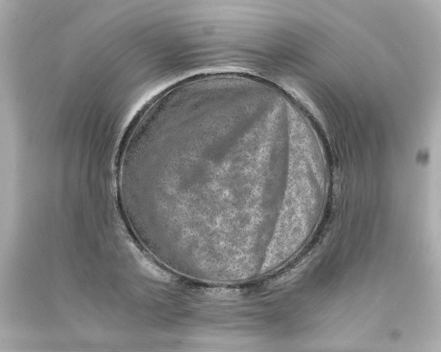 X0000093120789200710241301