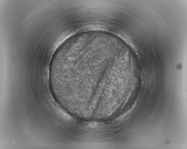 X0000093120790200710241301