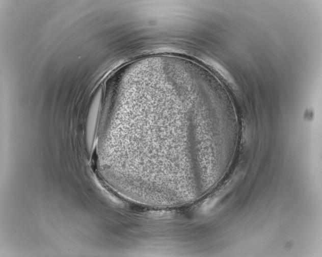 X0000093120793200710241301
