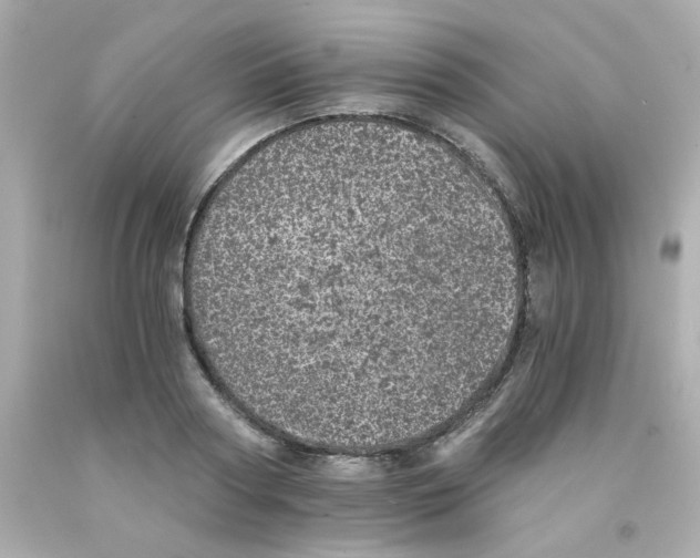 X0000093120794200710241301