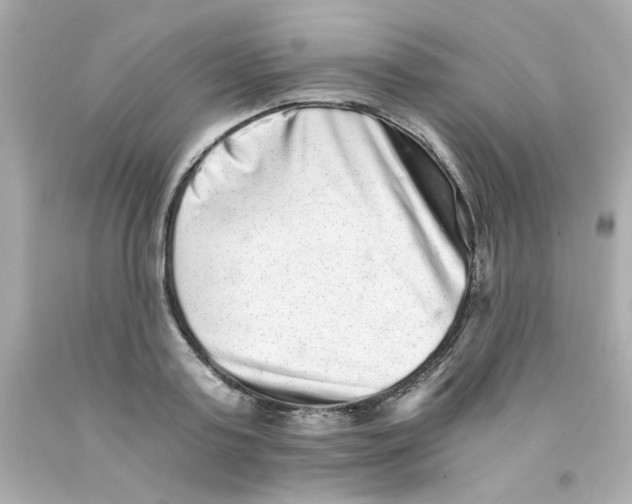 X0000093120795200710241301