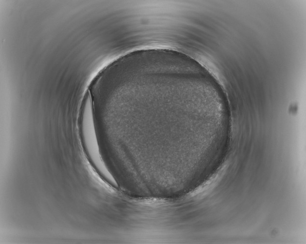 X0000093120797200710241301